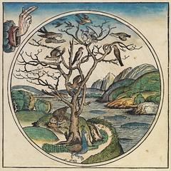 240px-Nuremberg_chronicles_-_f_4v.jpg
