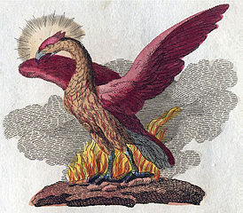 274px-Phoenix-Fabelwesen.jpg