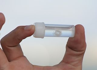 320px-Irukandji-jellyfish-queensland-australia.jpg