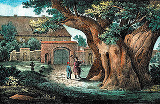 320px-Kaditzer_Linde,_1840.jpg