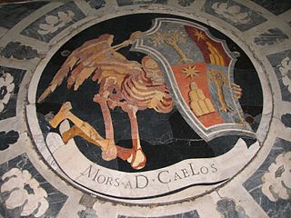 320px-Morsadcaelos.jpg
