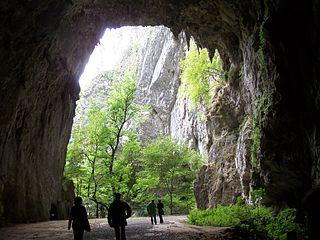 320px-Skocjanske_jame.jpg
