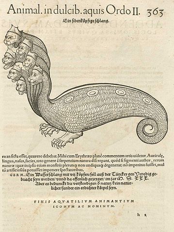 359px-Hydra_04.jpg