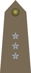 Army-POL-OF-01a.svg.png