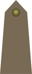 Army-POL-OR-01.svg.png