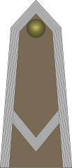 Army-POL-OR-05.svg.png