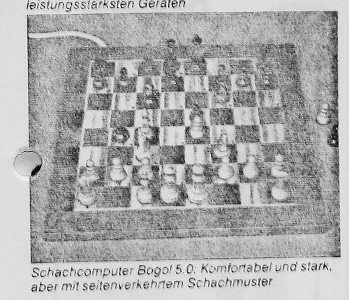 Bogol5.0.jpg