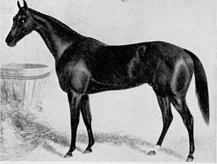 Chester_1874.jpg
