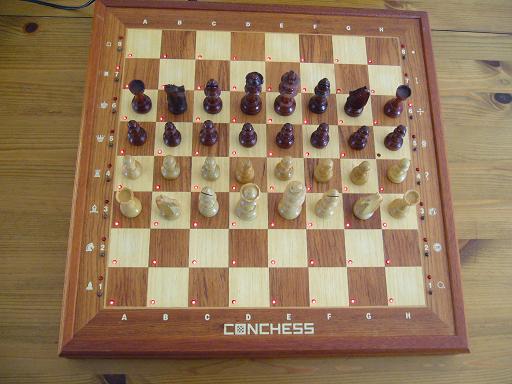 Conchess_Ambassador_6_20_x_22.JPG