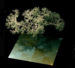 Dragon_tree.jpg
