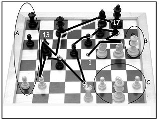 Eye_movements_of_a_chess_champion_nc.jpg