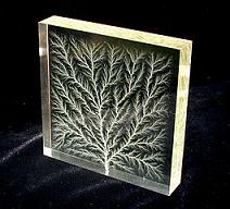 Lichtenberg_figure_in_block_of_Plexiglas.jpg