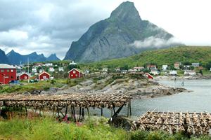 Lofoten_Reine_Stockfish.jpg