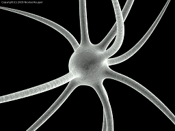 Neuron-SEM.png