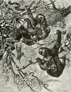 Our_living_world_(Full_Page_Illustration).jpg