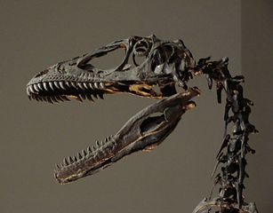 PANSDeinonychus.jpg