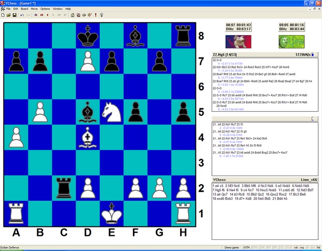 YChessW1.jpg