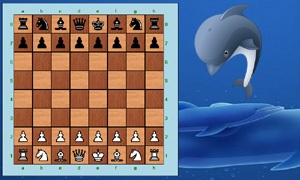 dolphinlogo.jpg