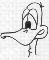 duck.jpg