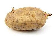potato_cultivar_with_sprouts.jpg