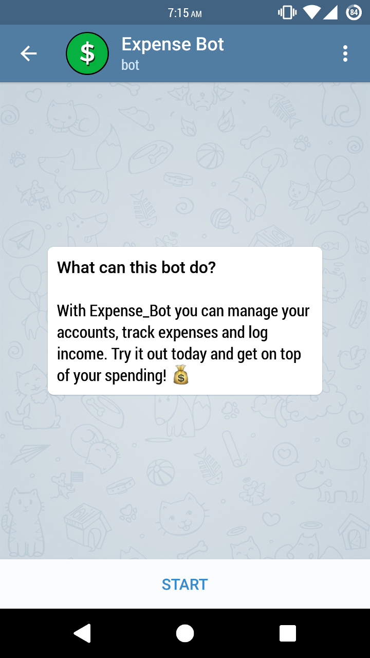 Expense_Bot intro